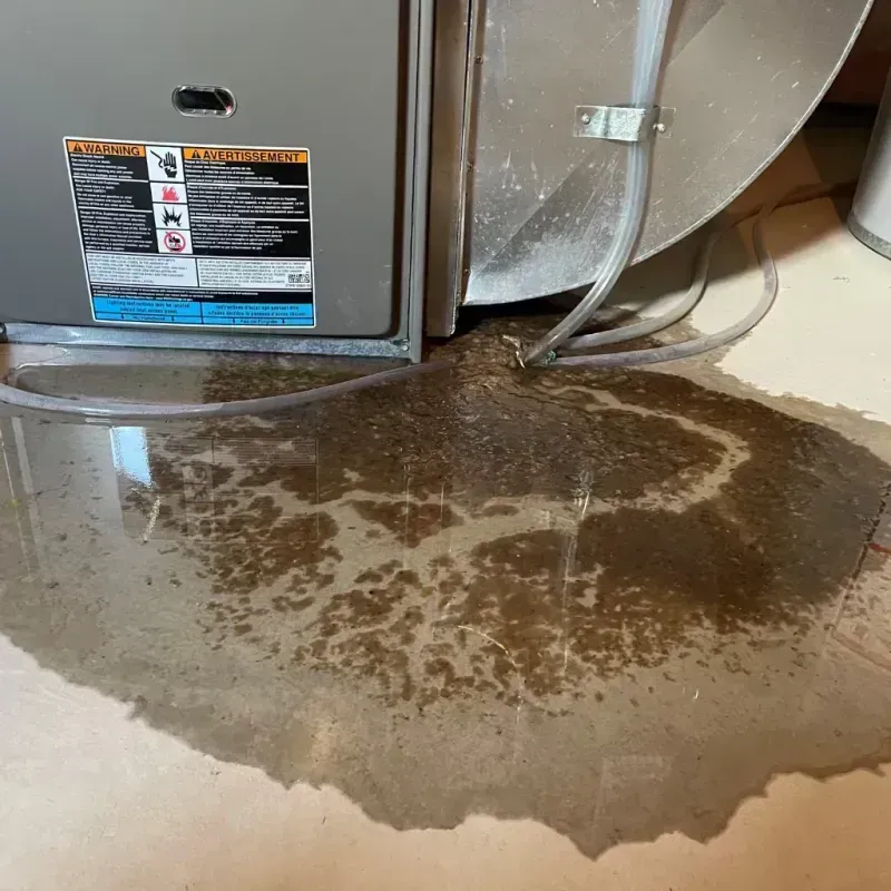 Appliance Leak Cleanup in Augusta, AR